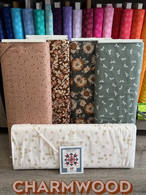 Beginning Quilting - July 2025