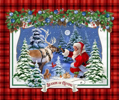 QT Fabrics - Season Of Giving