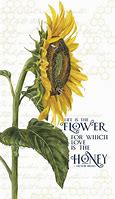 Riley Blake - Honey Bees and Flowers Please