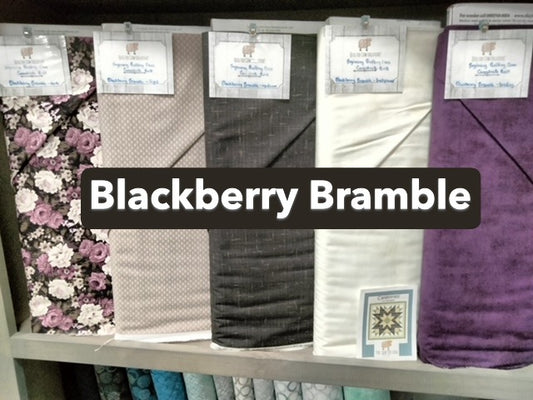 2026 Beginning Quilting Series - February