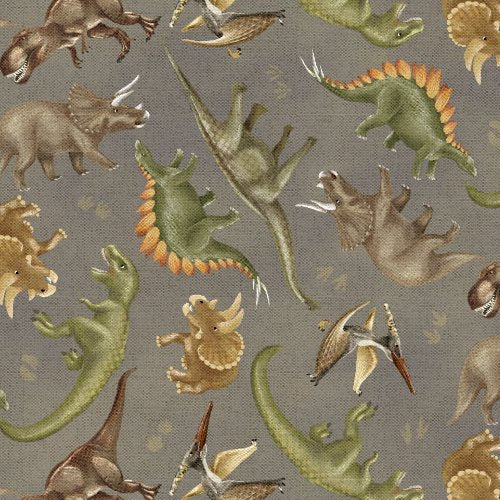3 Wishes - Dinosaur Trails