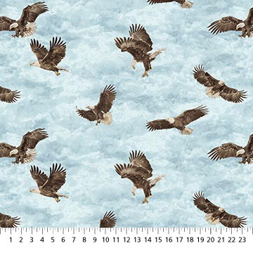 Northcott - Eagle Pass