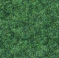 QT Fabrics - Enchanted