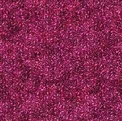 QT Fabrics - Enchanted