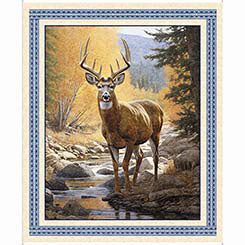 QT Fabrics - Buck Wild