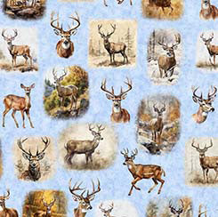 QT Fabrics - Buck Wild