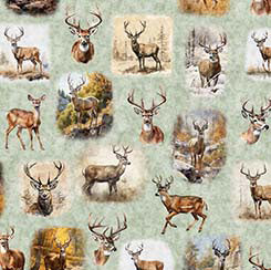 QT Fabrics - Buck Wild