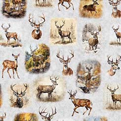 QT Fabrics - Buck Wild