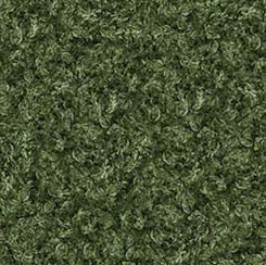 QT Fabrics - Buck Wild