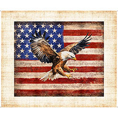 QT Fabrics - Patriot