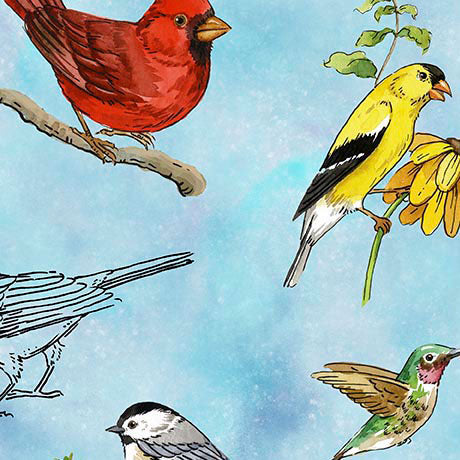 QT Fabrics - Drawn to Birds