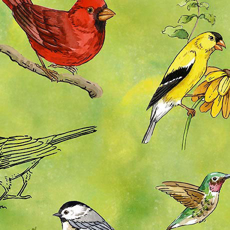 QT Fabrics - Drawn to Birds