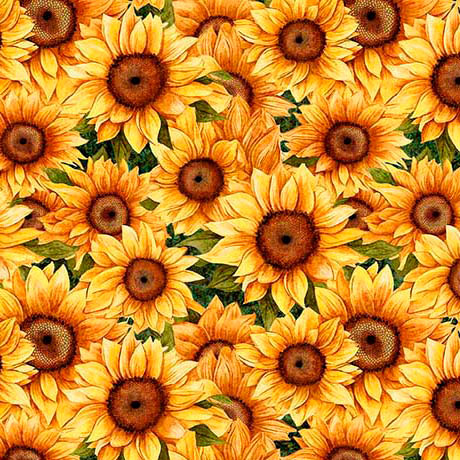 QT Fabrics - Sunflower Serenade