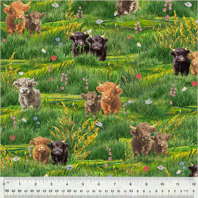 Windham Fabrics - Highland Hooves
