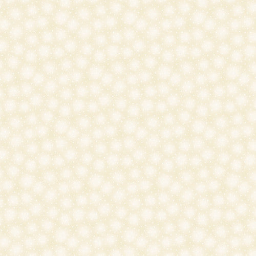 Blank - Starlet