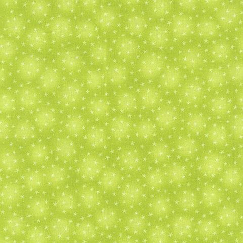 Blank - Starlet