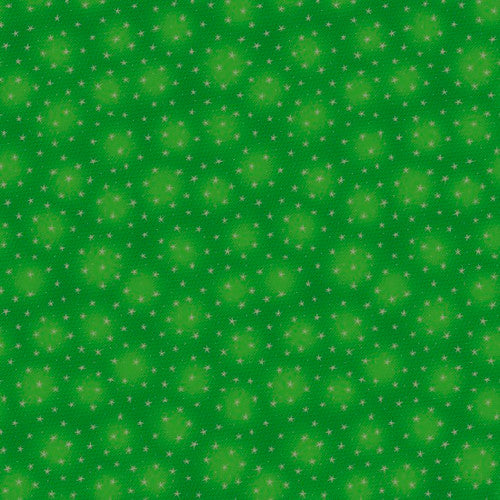 Blank - Starlet