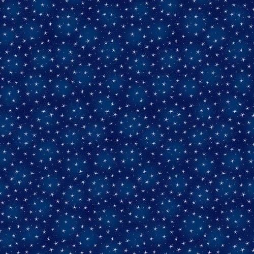 Blank - Starlet