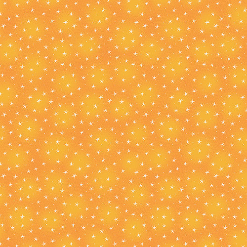 Blank - Starlet