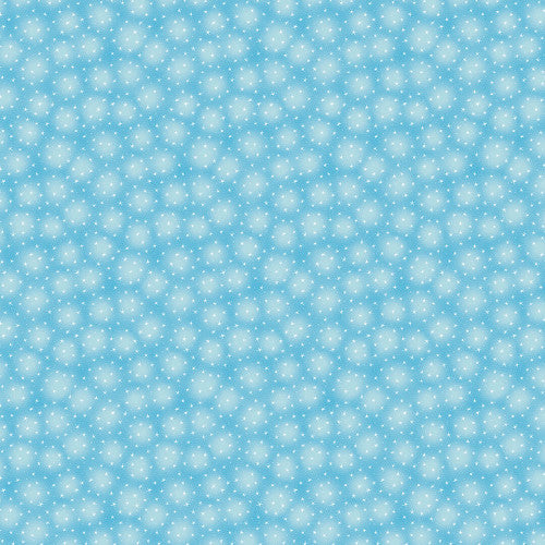 Blank - Starlet