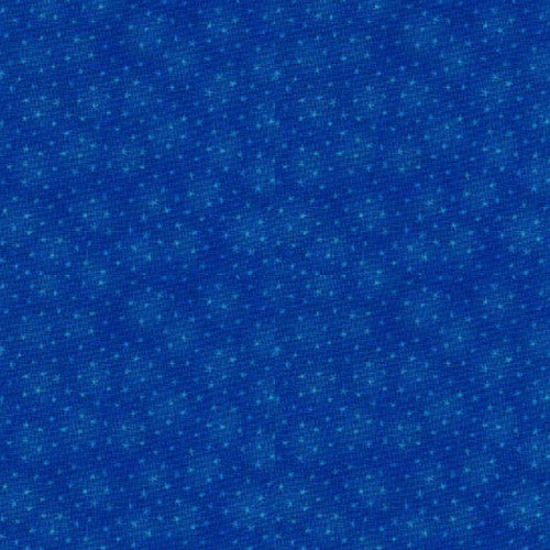 Blank - Starlet