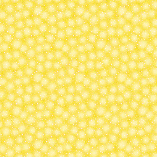 Blank - Starlet