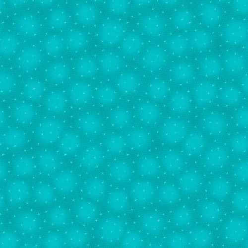 Blank - Starlet