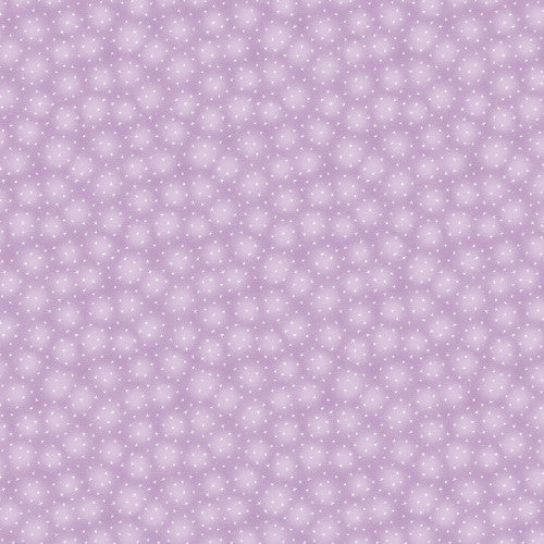 Blank - Starlet