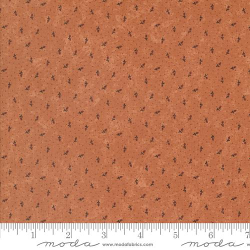 Moda - Daisy Lane