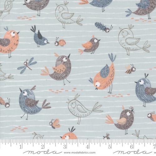 Moda - Chirp