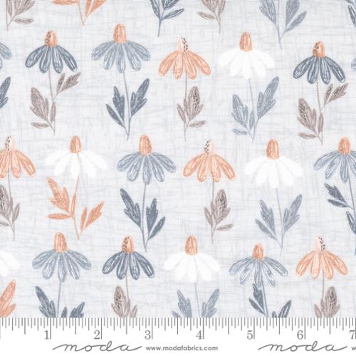 Moda - Chirp