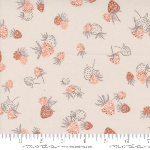 Moda - Chirp