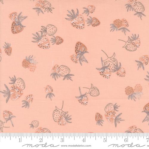 Moda - Chirp