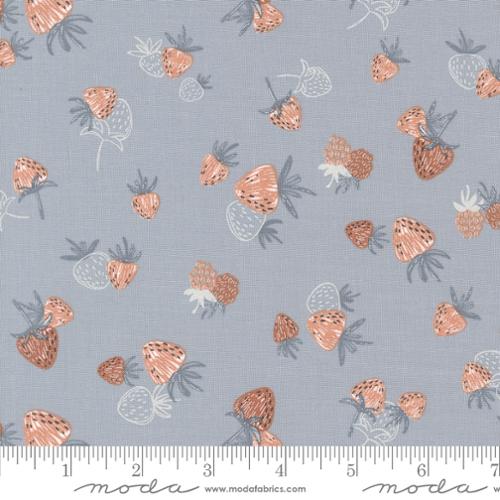 Moda - Chirp