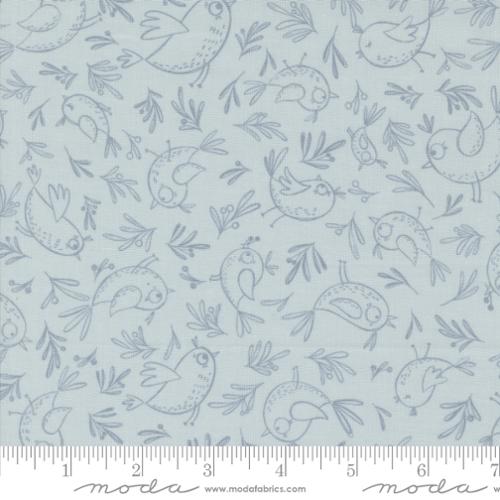 Moda - Chirp