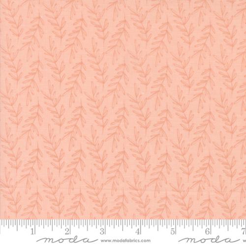 Moda - Chirp