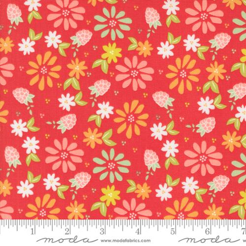 Moda - Raspberry Summer