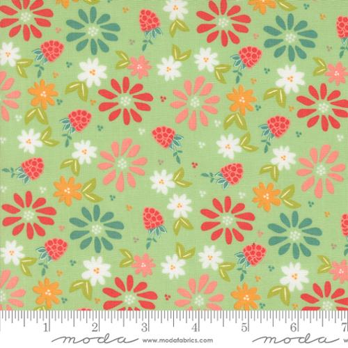 Moda - Raspberry Summer