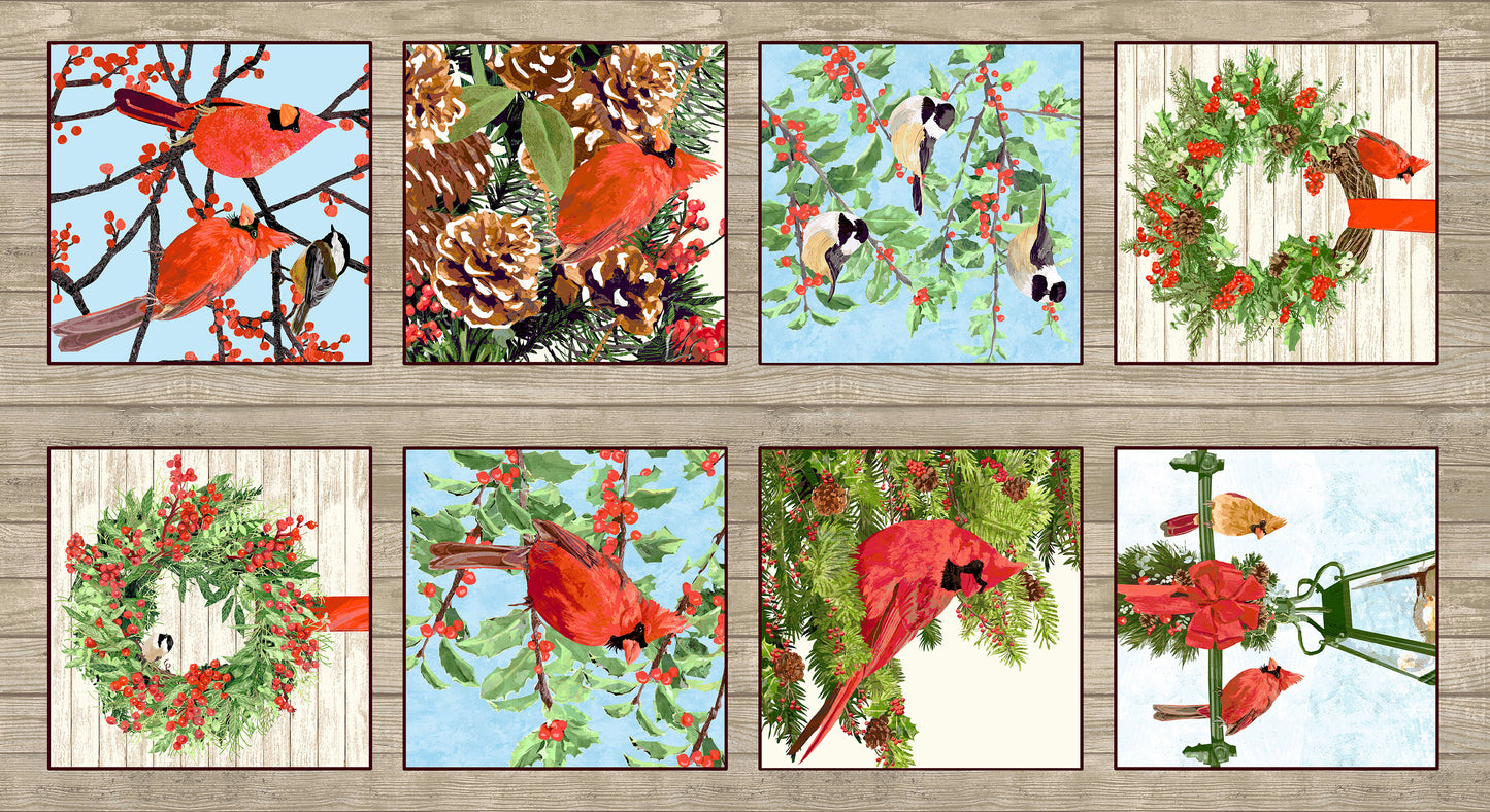 Andover - Snowbirds