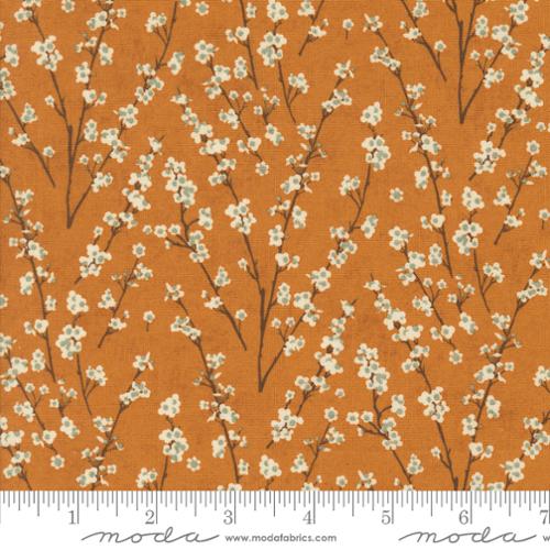 Moda - Acorn Hollow