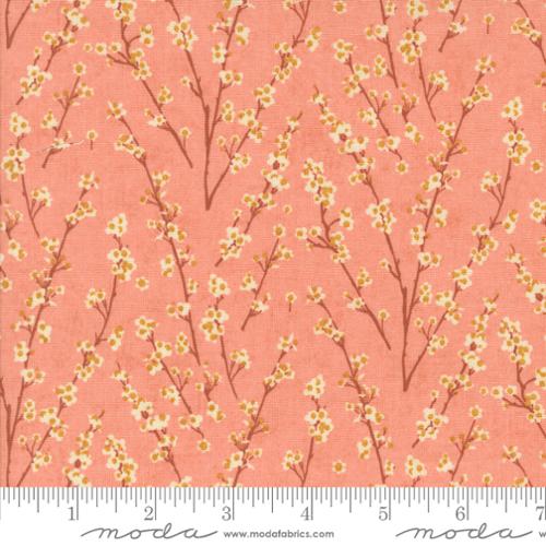 Moda - Acorn Hollow