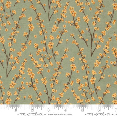 Moda - Acorn Hollow