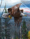 The Buffalo Works - May Freedom Forever Fly