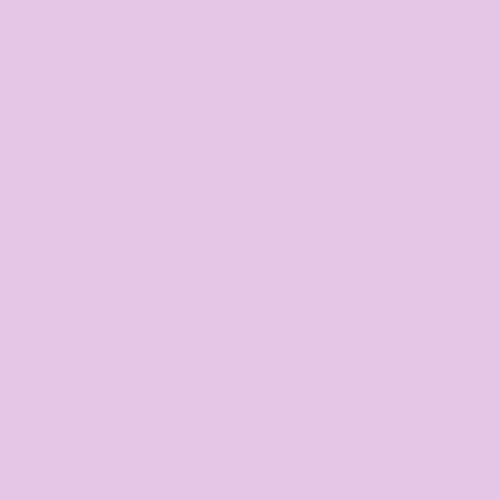 Free Spirit - Tula Pink Solids