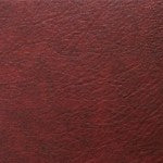 Sallie Tomato - Faux Leather