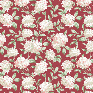 Maywood Studio - Regal Rose