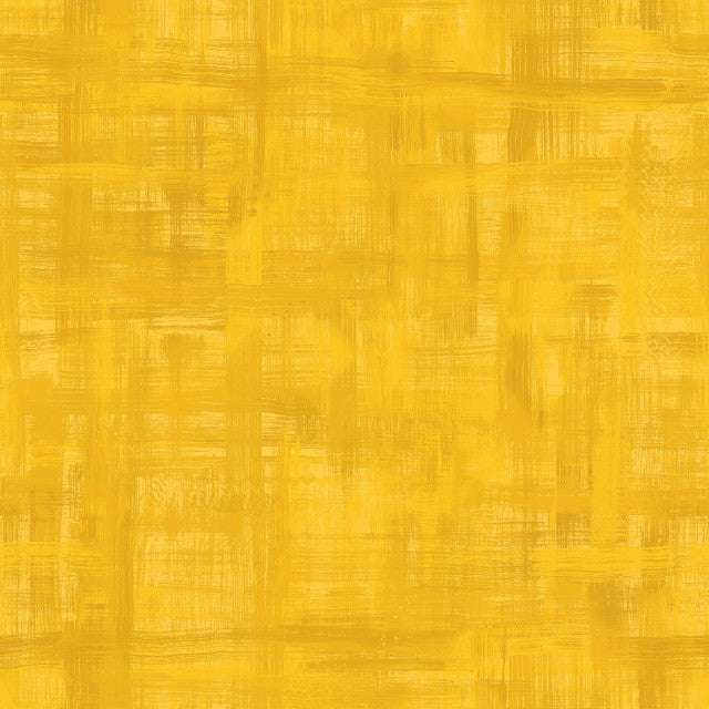 Maywood Studio - Colorfield