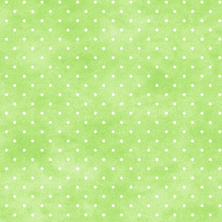 Maywood Studio- Playtime Flannel