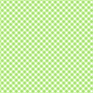 Maywood Studio- Playtime Flannel