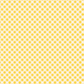 Maywood Studio- Playtime Flannel